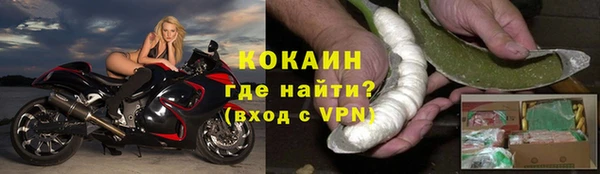 дживик Балахна