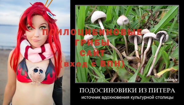 дживик Балахна