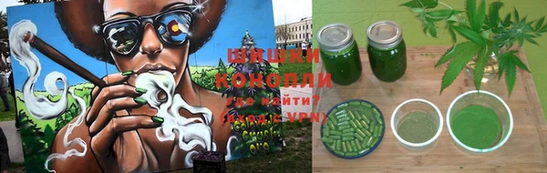 дживик Балахна